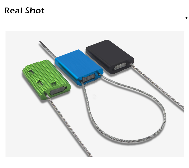 tihs is a cable seals picture tihs is a cable seals picture
