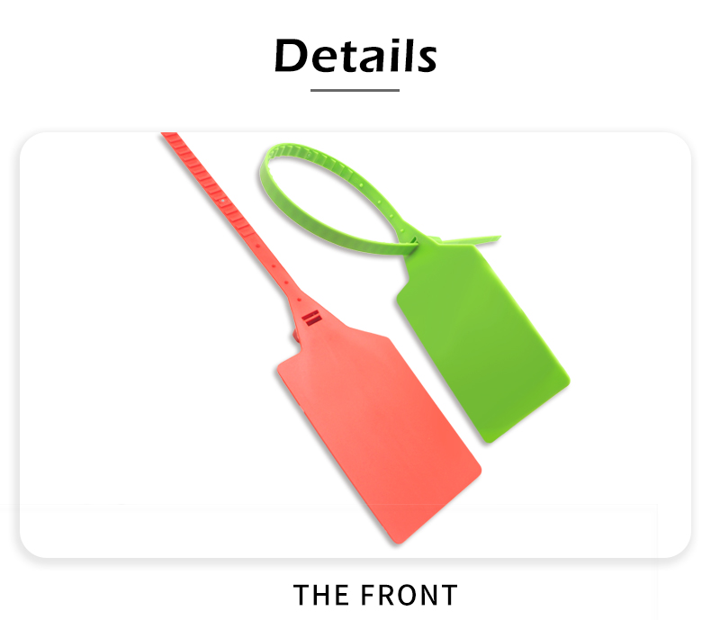 This is a plastic security tag picture