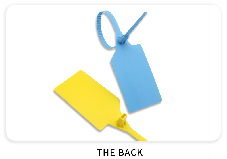 This is a plastic security tag picture